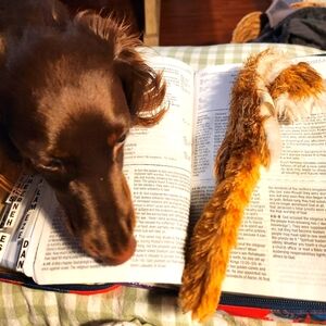 Meet your Posher, Patricia